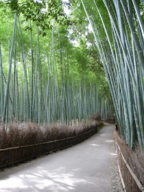 rideau de bambous