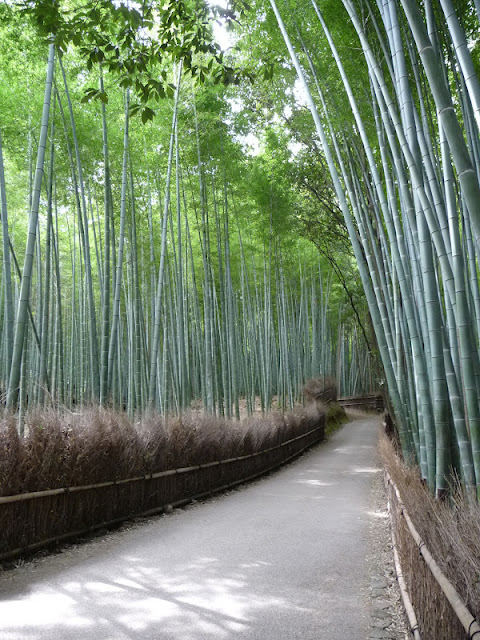 rideau de bambous