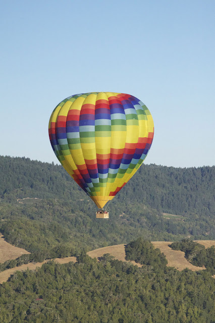 Hot Air Balloon In Napa3