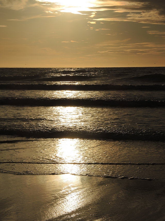 Oostende: de zee en het strand