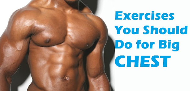 exercises to build big chest