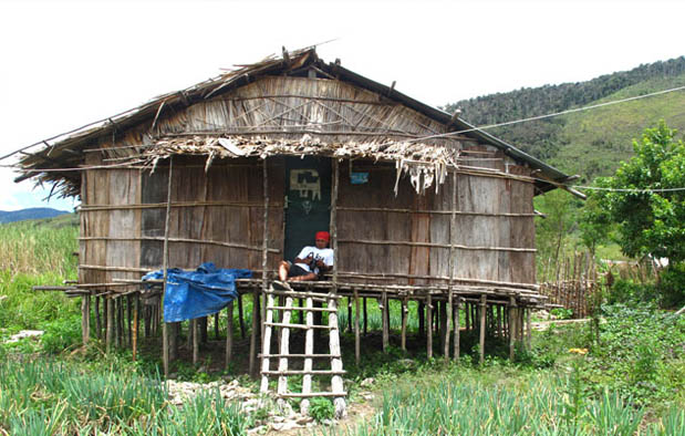 Rumah Adat Papua Barat (Mod Aki Aksa), Gambar, dan 