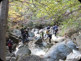 DSCF5826