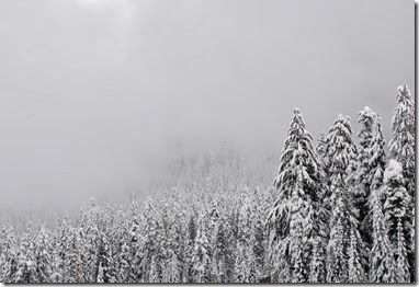 DSC_0001