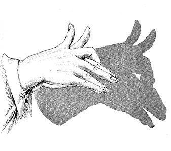 Hand Shadow Illusions