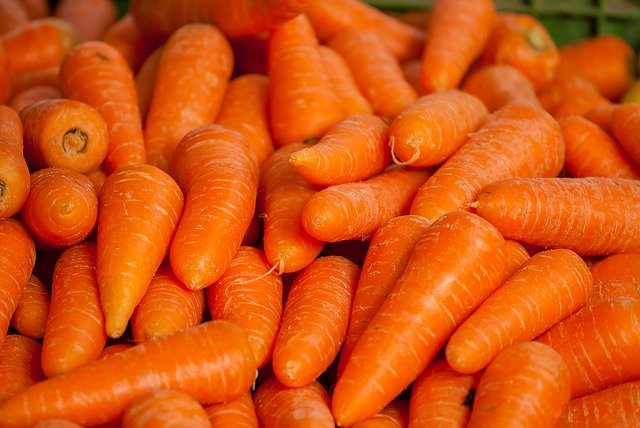 Focus sur la carotte, un légume sain !