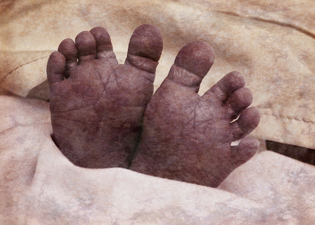 Baby feet free picture for blogs