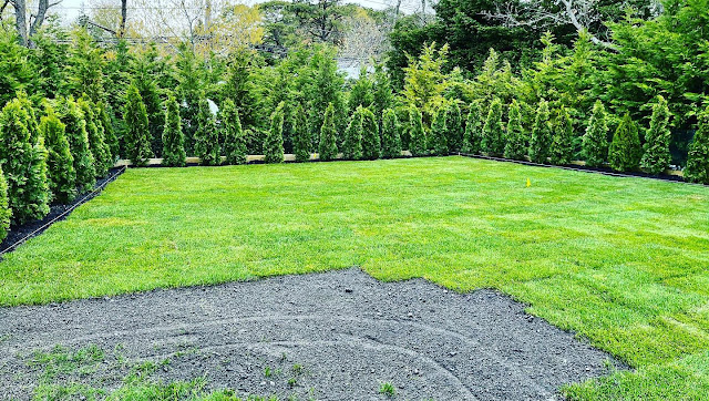 Sod Grass Installation