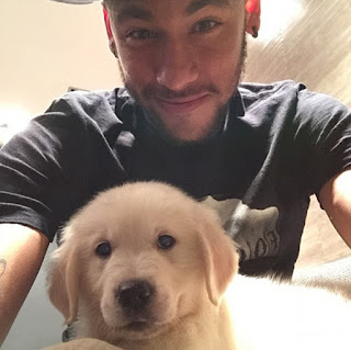 Neymar dogs