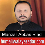 https://humaliwalaazadar.blogspot.com/2019/09/manzar-abbas-rind-nohay-2020.html
