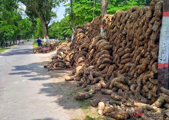 Membuat Kerajinan Dari Bonggol Bambu  Atzeeco