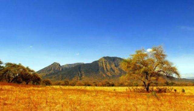 Jalan-Jalan Ke Taman Nasional Baluran Menikmati Nuansa Afrika Di Pulau Jawa