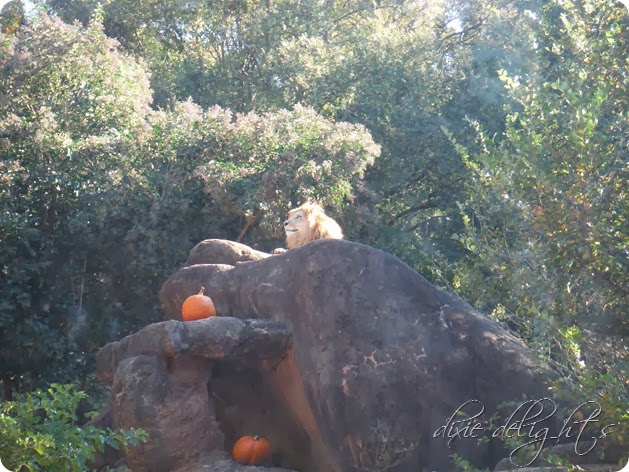 November 2013 112