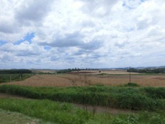 CIMG1229