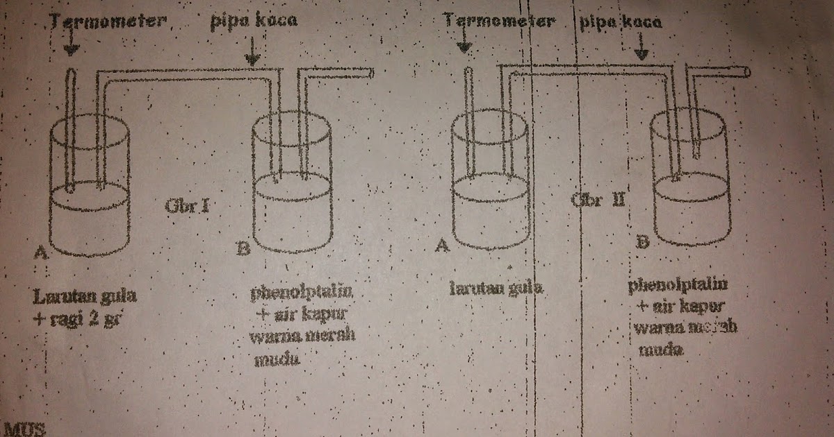 Laporan praktikum Fermentasi menggunakan fermipan ~ NM Blog's