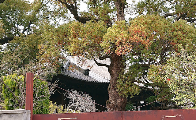 仲津山　極楽寺(藤井寺市)