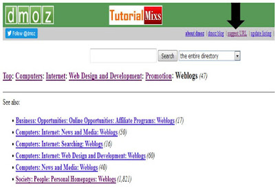 Submit Dmoz tutorial 2