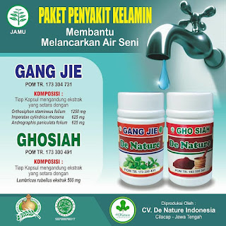 Pengobatan herbal klamidia