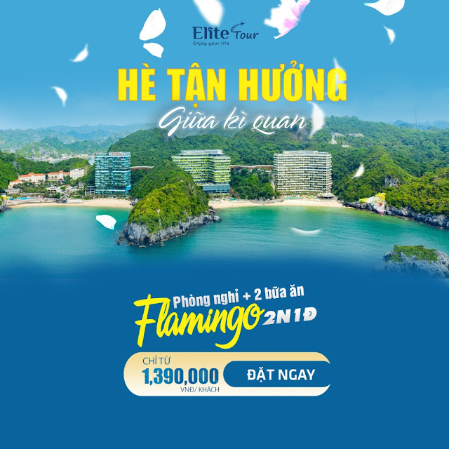 Ưu đãi giá phòng Flamingo Cát Bà hè 2022