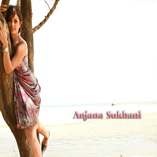 Anjana Sukhani Cute Looking in Top