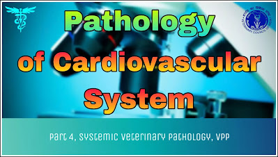 Pathology of Cardiovascular System