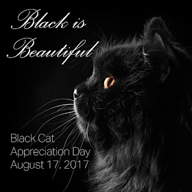 Black is beautiful--Black Cat Appreciation Day 2017