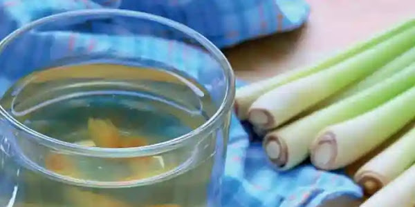 Lemongrass Tea | രാവിലെ വെറും വയറ്റിൽ ഇഞ്ചിപ്പുല്ല് ചായ കുടിച്ചോളൂ; ശരീരത്തിന് സംഭവിക്കുന്ന മാറ്റങ്ങൾ അത്ഭുതപ്പെടുത്തും