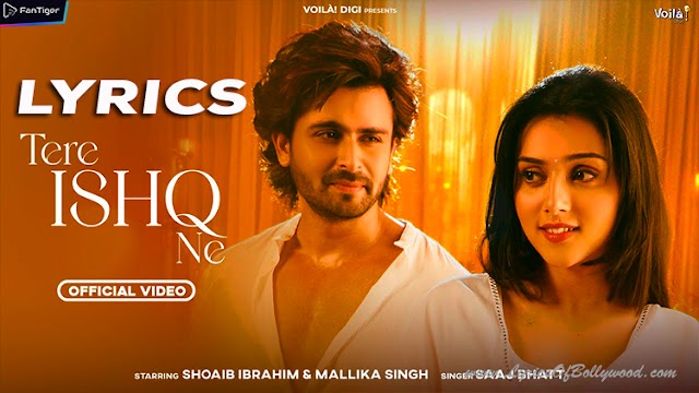 Tere Ishq Ne Song Lyrics | Shoaib Ibrahim, Mallika Singh | Saaj Bhatt | Ashish Khandal