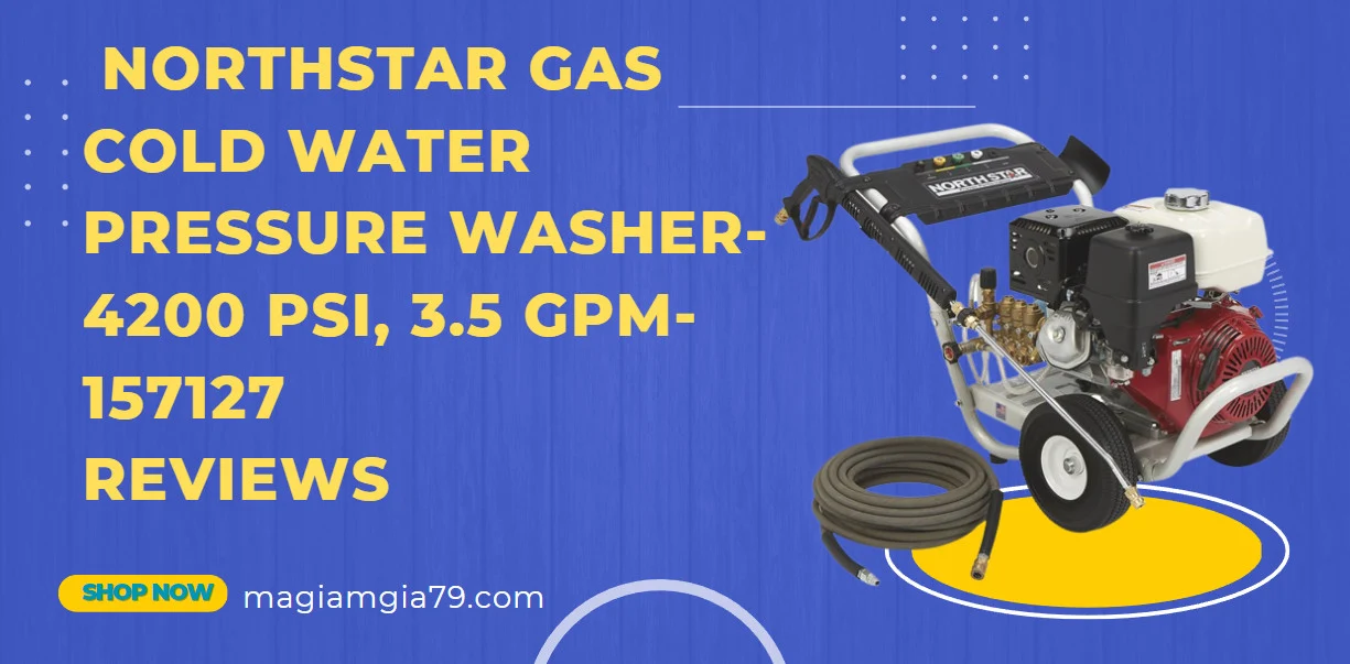 Northstar Gas Cold Water Pressure Washer-4200 PSI, 3.5 GPM-157127 Reviews