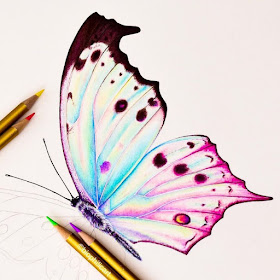 03-WIP-butterfly-Pencil-Drawings-Sallyann-www-designstack-co