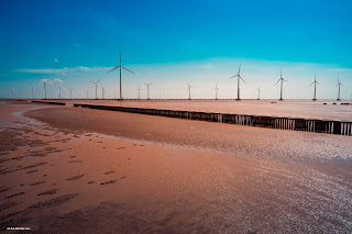 Wind electricity farm in Bac Lieu