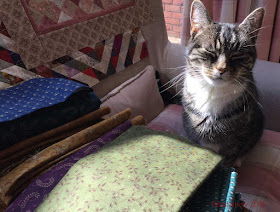 Suzi the cat helping out with the Dear Jane Quilt 