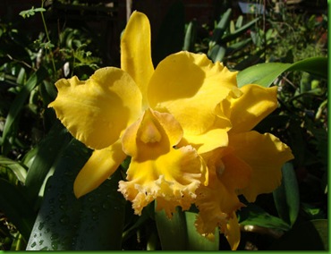 DSC03015