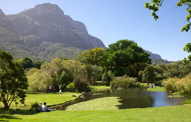 Kirstenbosch National Botanical Garden