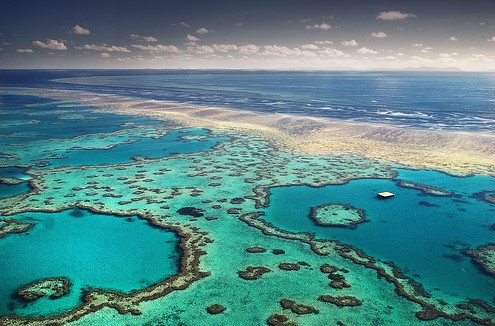 Great Barrier Reef di Australia