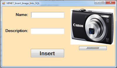 vb.net save image into database