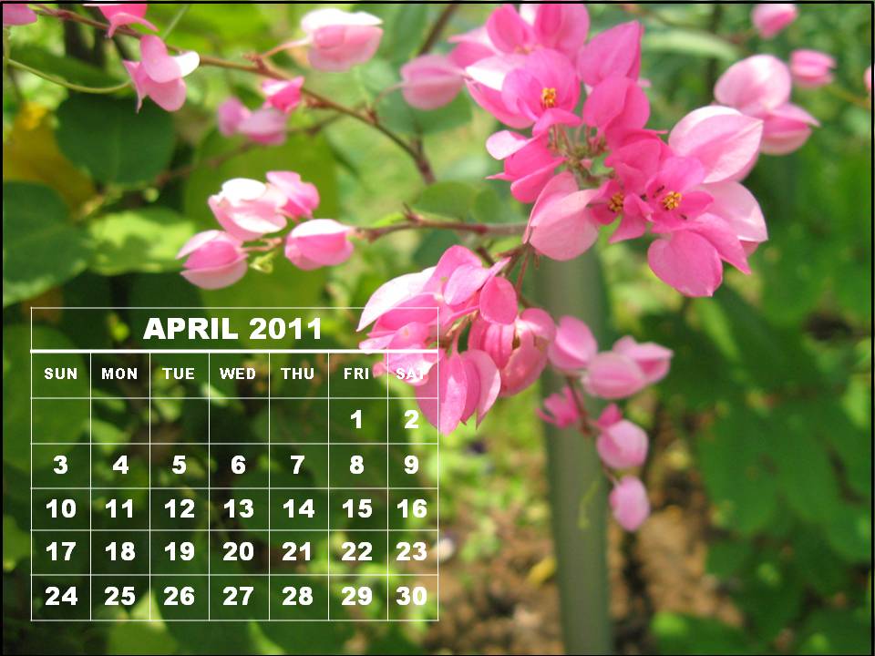 april 2011 calendar. april 2011 calendar with