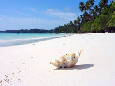  or known past times the town of Tual every bit Pasir Panjang Coast is a  Ngurbloat Beach, inwards Tual Southeast Maluku