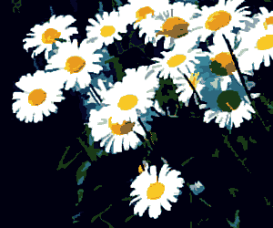 White Flower With Anime PSP Theme