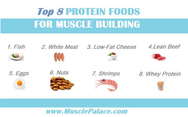 Foods Highest in Protein