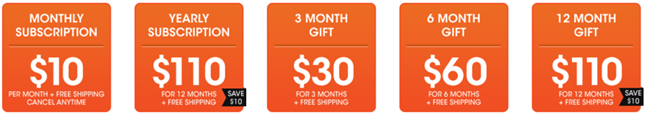 bulu box subscription options