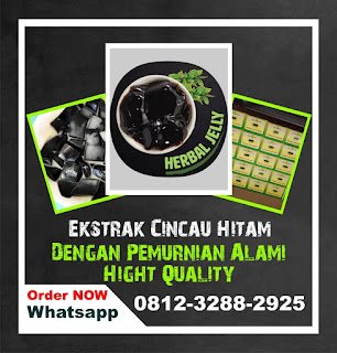 Janggelan, Janggelan Powder, Janggelan Cincau Hitam, Bubuk Janggelan, Bisnis Janggelan, Cincau Janggelan, Sari Cincau Janggelan, Jual Janggelan Kering, Harga Janggelan Kering, Pabrik Janggelan, Pasar Janggelan, Sari Janggelan, Tepung Janggelan, Cincau Janggelan