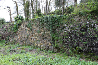 muro antiguo que por lluvias y antigüedad se derrumbo 