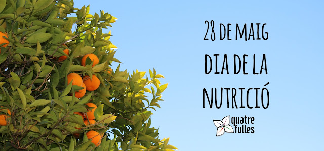 dia nutricion