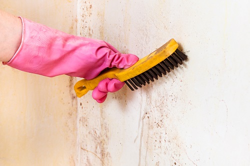 https://pizzazzpainting.com/blog/benefits-of-stain-resistant-paint-and-why-you-need-it/