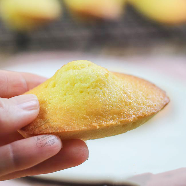 conseils-reussir-madeleines