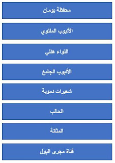 تقويم 3-6 الجهاز الإخراجي – أجهزة الدوران والتنفس والإخراج.