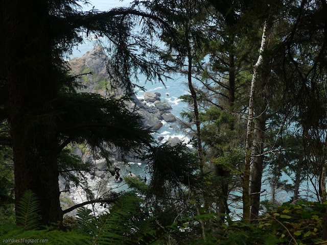 through tree branches, rocks and surf below