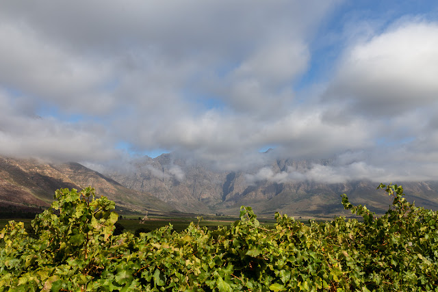 Slanghoek Valley Breedekloof wine route