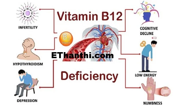 வைட்டமின் பி12